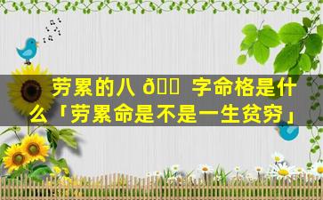 劳累的八 🐠 字命格是什么「劳累命是不是一生贫穷」